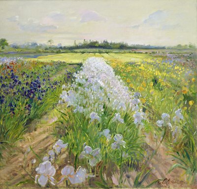 En bas de la ligne, 1995 - Timothy Easton